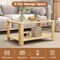 Rectangular Coffee Table with Tempered Glass Top and 2-Tier Storage Shelf